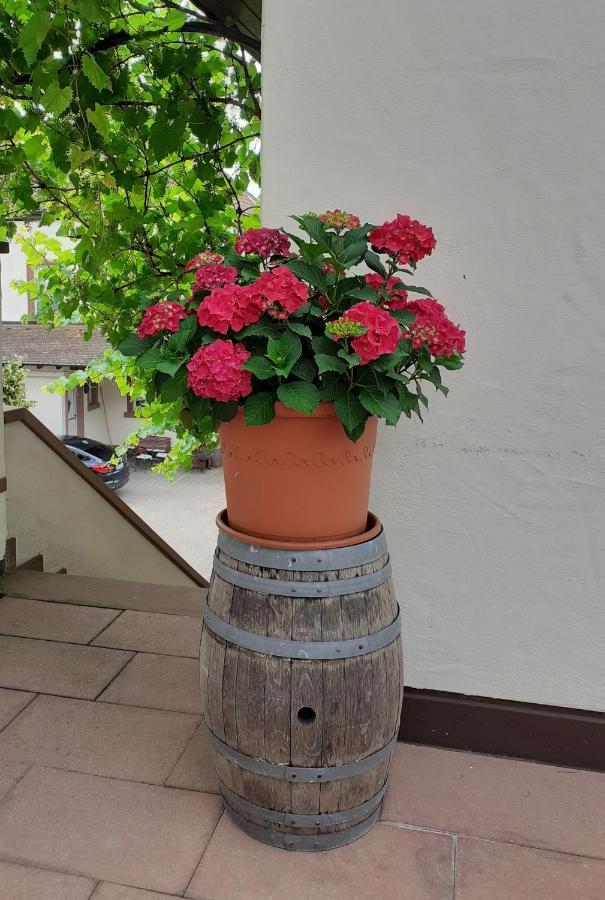Das Landhotel Weingut Gernert Sankt Martin Εξωτερικό φωτογραφία