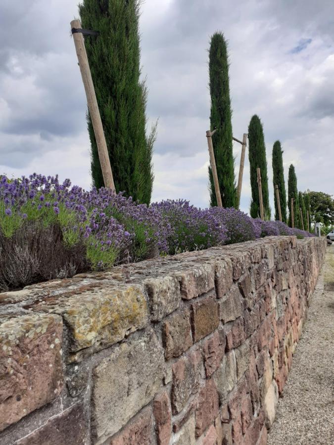 Das Landhotel Weingut Gernert Sankt Martin Εξωτερικό φωτογραφία